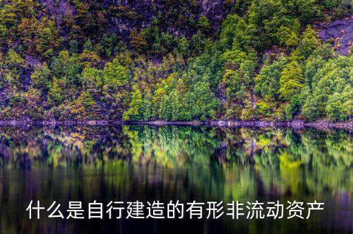 什么叫自建不動(dòng)產(chǎn)，自建不動(dòng)產(chǎn)不共擔(dān)風(fēng)險(xiǎn)的投資行為