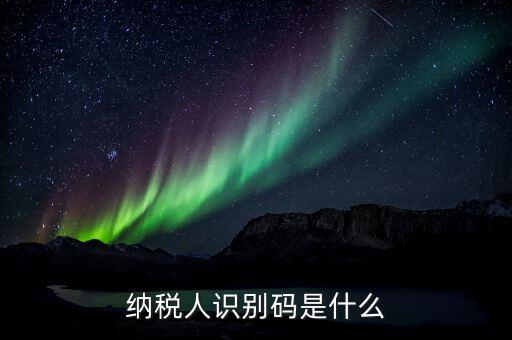 稅務(wù)人識別號是什么意思，稅納人識別號是什么東東