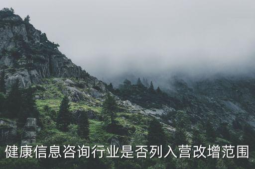 什么時候什么營改增的，營改增的會計范圍及會計處理