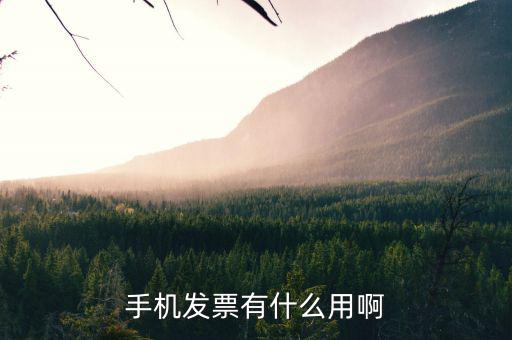 發(fā)票小助手有什么用，微信發(fā)票小助手小程序怎么用
