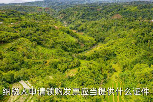 納稅人申請(qǐng)領(lǐng)購(gòu)發(fā)票應(yīng)當(dāng)提供什么證件