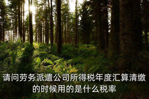 派遣選擇什么稅目，勞務(wù)派遣公司應(yīng)交什么稅種