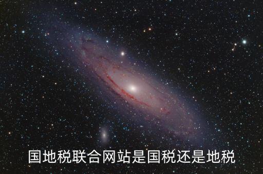 國地稅聯(lián)合辦稅是什么，國地稅聯(lián)合稅費(fèi)申報什么意思