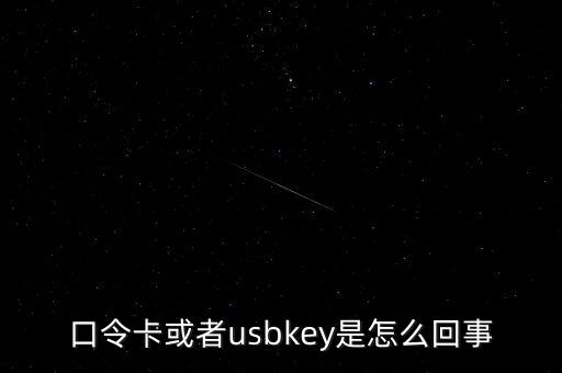 未插usbkey什么意思，口令卡或者usbkey是怎么回事