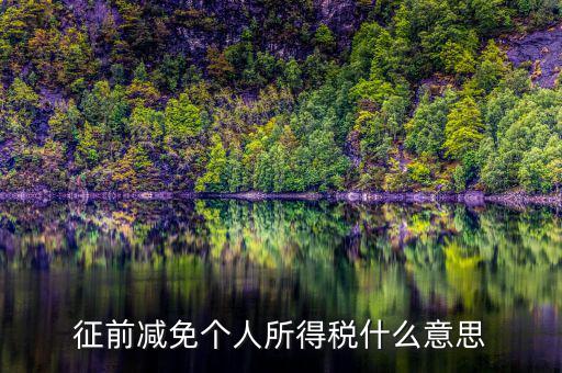 減免所得稅是什么意思，征前減免個人所得稅什么意思