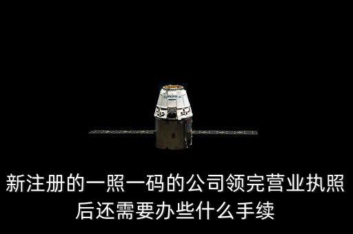 一照一碼后還需辦什么，網(wǎng)上申請(qǐng)一照一碼必須要經(jīng)辦人的U盾嗎