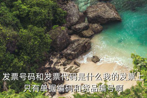 發(fā)票代號(hào)是什么，發(fā)票紙質(zhì)代碼是什么意識(shí)