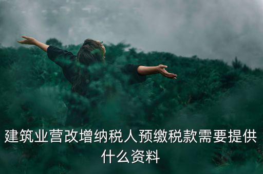 預(yù)繳稅款要什么資料，到國稅局預(yù)交稅款需要帶什么東西