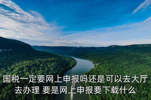 地稅進國稅要下載什么，深圳國地稅想網(wǎng)上申報要下載什么東西嗎