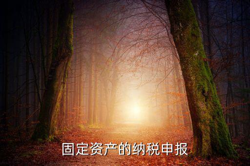 固定資產(chǎn)的納稅申報