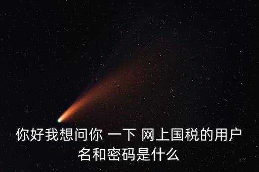 國稅的登錄密碼是什么意思，國稅第一次網(wǎng)上申報(bào)的登陸密碼是什么