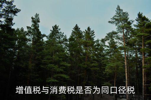 稅收可比口徑什么意思，稅收比重什么意思