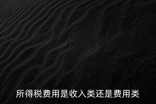 所得稅屬于什么費(fèi)用，所得稅費(fèi)用是收入類還是費(fèi)用類