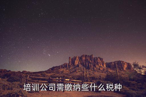 培訓機構依據什么納稅，培訓單位按什么標準納稅