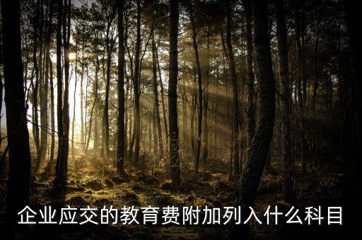 教育費(fèi)附加干什么，教育費(fèi)附加代表什么意思