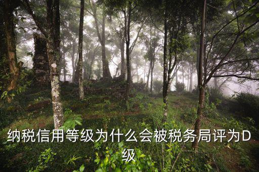 稅務(wù)評級有什么用，納稅信用等級為什么會被稅務(wù)局評為D級