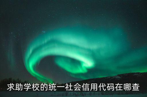 學(xué)校的社會信用代碼是什么東西，求助學(xué)校的統(tǒng)一社會信用代碼在哪查
