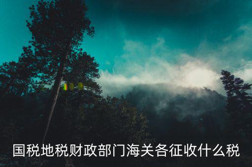 稅務(wù)機關(guān)收什么稅，國家稅務(wù)局系統(tǒng)主要負責(zé)征收什么稅種