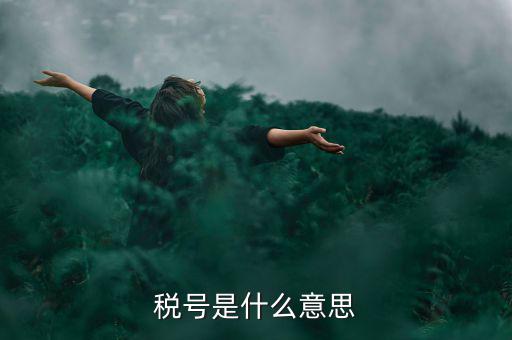 納稅號(hào)碼是什么意思，稅號(hào)是什么意思