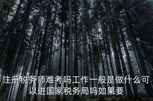 什么是稅務(wù)師，注冊稅務(wù)師能干什么待遇怎么樣