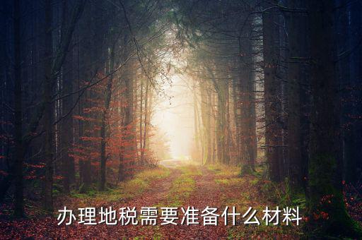 地稅定稅需要什么材料，辦理地稅需要準(zhǔn)備什么材料
