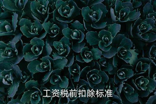 什么是稅前扣除標準，請問差旅費稅前扣除標準是什么