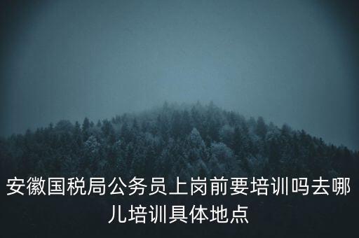 安徽國稅什么時候培訓，安徽省稅務學校還在嗎那里的教學樓宿舍和操場都還在嗎沒被拆
