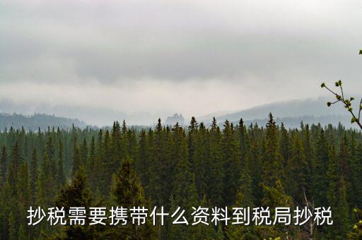 報(bào)稅查什么輔導(dǎo)信息，剛申請(qǐng)為一般納稅人在哪查看是否要經(jīng)過輔導(dǎo)期納稅申報(bào)初始化填5