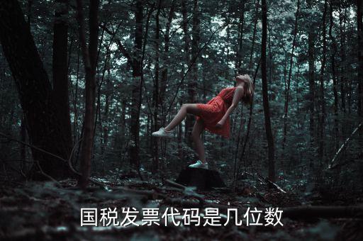 發(fā)票代碼是什么位置，國稅普票代碼是幾位數字在什么位置