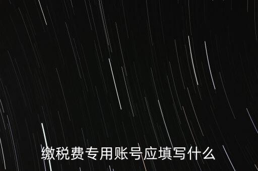 繳稅費(fèi)專用賬號應(yīng)填寫什么