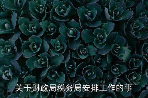 國(guó)稅局什么工作計(jì)劃，關(guān)于財(cái)政局稅務(wù)局安排工作的事