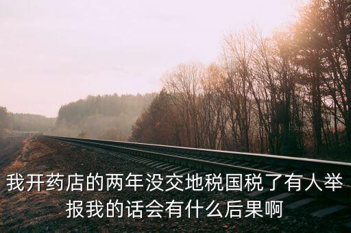 國稅舉報有什么后果，我開藥店的兩年沒交地稅國稅了有人舉報我的話會有什么后果啊