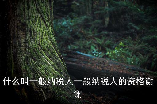什么是一般納稅人資格證嗎，什么叫一般納稅人一般納稅人的資格謝謝