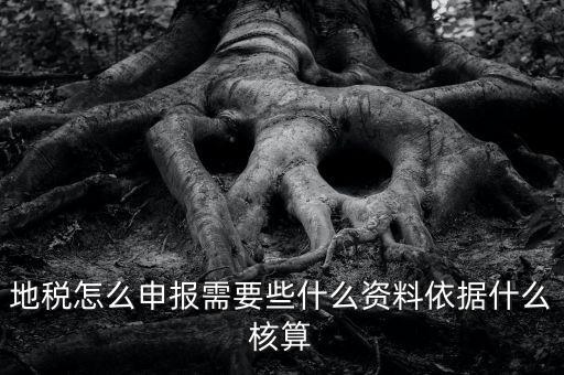 地稅根據(jù)什么申報，地稅怎么申報
