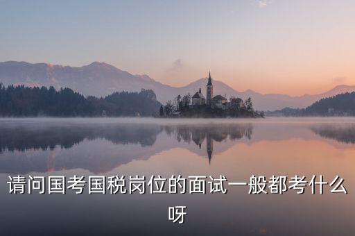 國(guó)稅標(biāo)兵人才考什么，國(guó)稅通用能力測(cè)試考什么