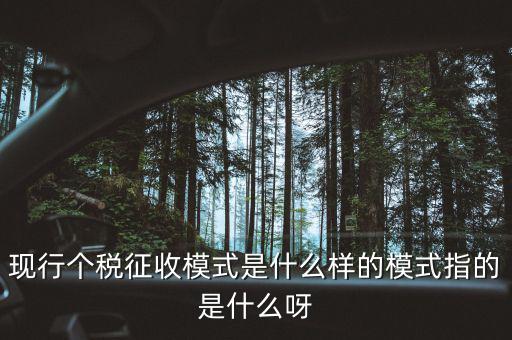 個人征稅系統(tǒng)是什么，你好補交個稅在稅局系統(tǒng)怎樣操作