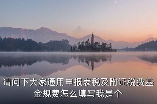 通用申報基金規(guī)費包括什么，請問下大家通用申報表稅及附證稅費基金規(guī)費怎么填寫我是個
