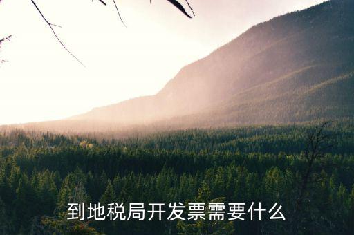 去地稅領(lǐng)發(fā)票需要什么，申請(qǐng)地稅發(fā)票需要什么資料