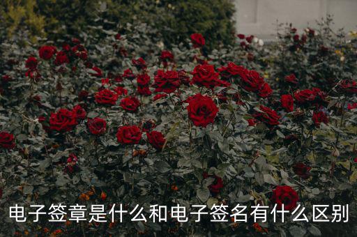 國稅電子簽章什么意思，什么是電子印章
