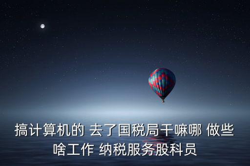 納服科是什么，搞計算機的 去了國稅局干嘛哪 做些啥工作 納稅服務股科員