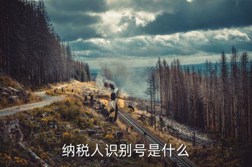 稅務人識別號是什么，稅納人識別號是什么東東