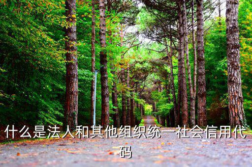 機(jī)關(guān)有社會(huì)信用代碼是什么意思，社會(huì)信用代碼與機(jī)構(gòu)信用代碼有什么不同