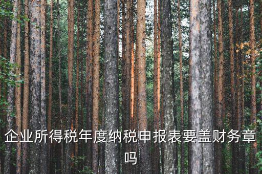 所得稅年報要蓋什么章，企業(yè)所得稅年度納稅申報表要蓋財務(wù)章嗎