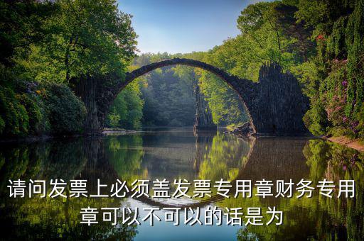 為什么要用發(fā)票專用章，請問發(fā)票上必須蓋發(fā)票專用章財務專用章可以不可以的話是為
