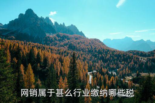 網銷屬于甚么行業(yè)繳納哪些稅