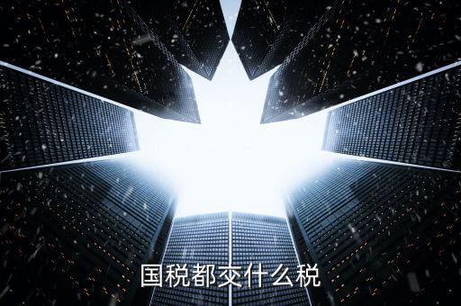 國(guó)稅稅款是什么，國(guó)稅都交什么稅