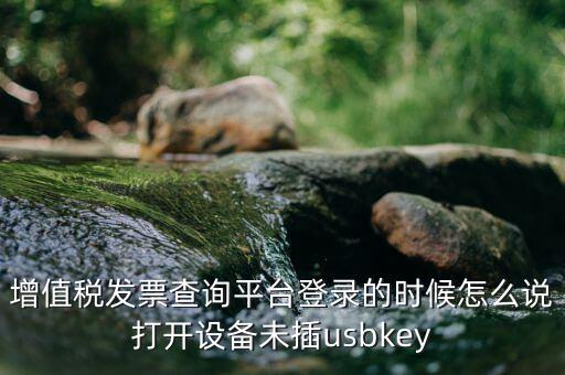 金稅盤登陸口令是什么，增值稅發(fā)票查詢平臺登錄的時候怎么說打開設(shè)備未插usbkey