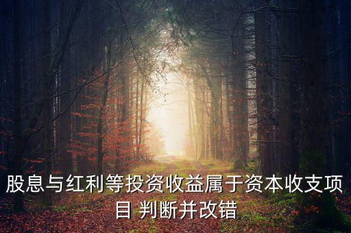 股息紅利等投資收益屬于什么，股息與紅利等投資收益屬于資本收支項目 判斷并改錯