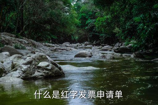 紅字申請(qǐng)單是什么意思，由銷售方申請(qǐng)開具紅字發(fā)票是什么意思