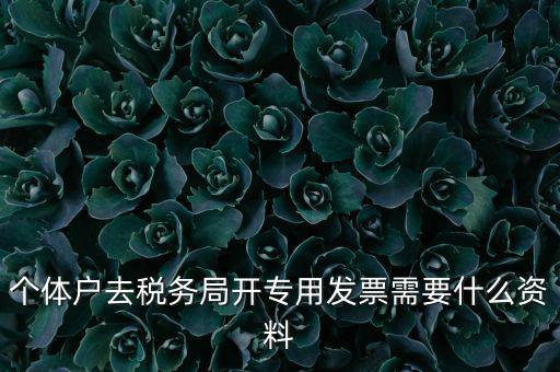 個體戶開專票需要什么，個體在國稅局開增值稅專用發(fā)票需要什么資料